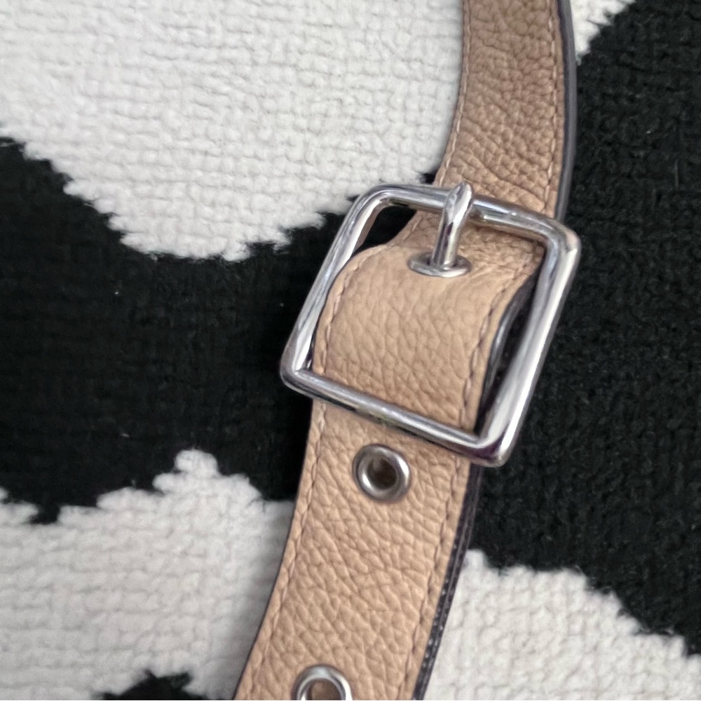 COACH Penelope Hippie Leather Cross-body Bag F14679 - Picture 6 of 12